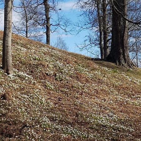 Pilegrimsherberge Innomhaug Jessheim Zewnętrze zdjęcie